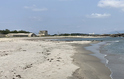 活動後風景(波打ち際)